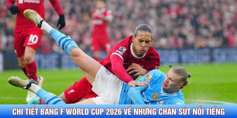 Chi tiết bảng F World Cup 2026 về những chân sút nổi tiếng