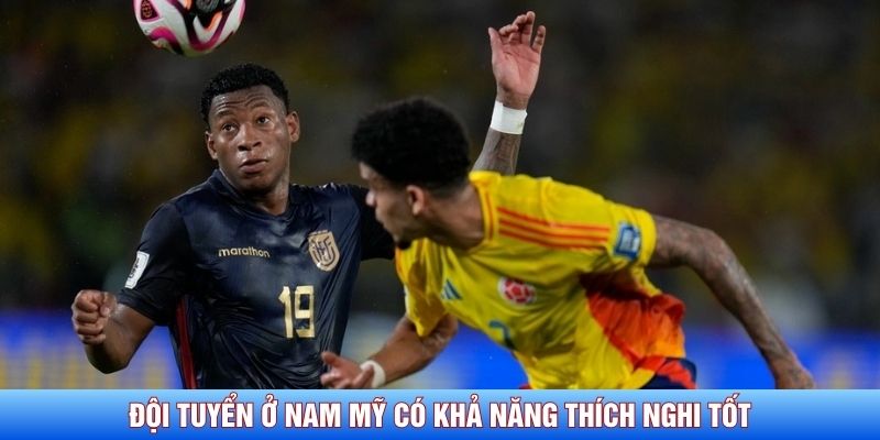 Đội tuyển ở Nam Mỹ có khả năng thích nghi tốt