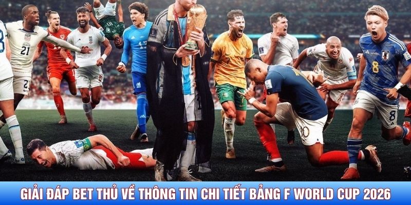Giải đáp bet thủ về thông tin chi tiết bảng F World Cup 2026