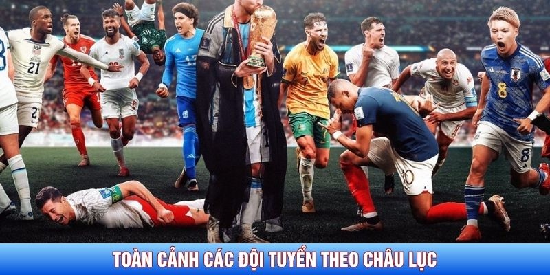 Toàn cảnh các đội tuyển theo châu lục